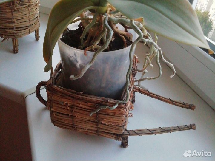 Декор горшок плетеный