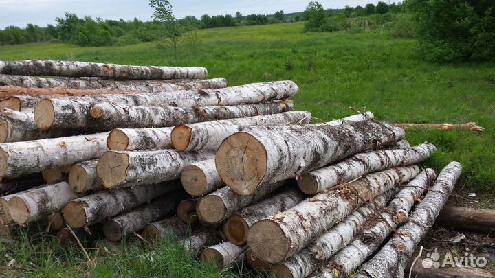 Дрова колотые Куйвози
