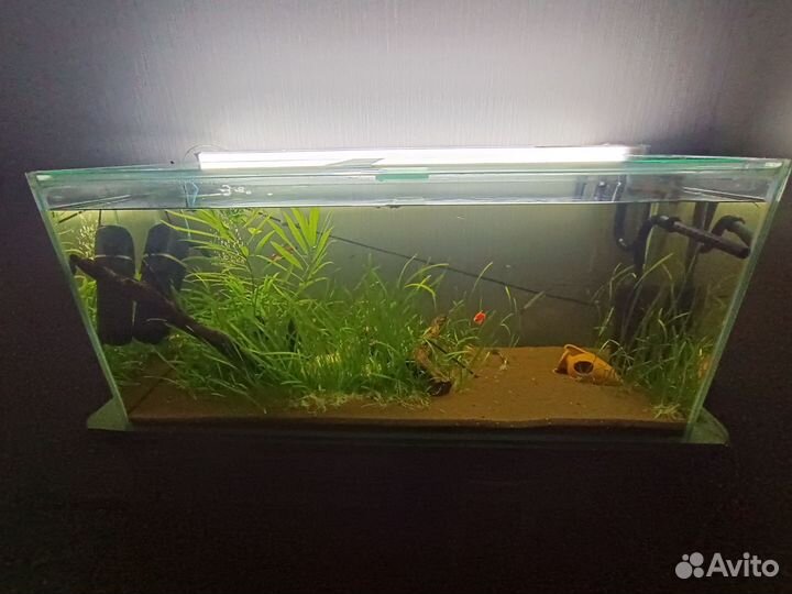 Аквариум 150 литров с тумбой