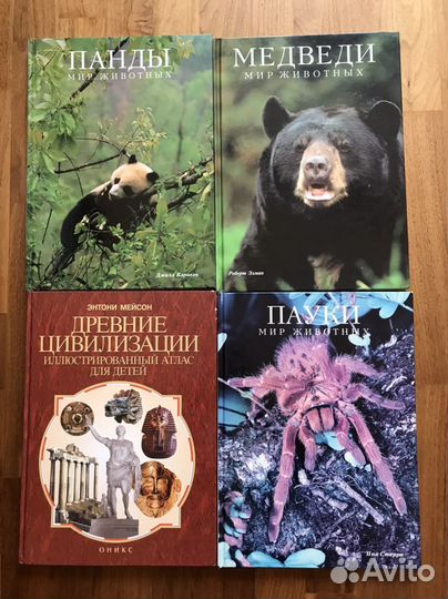 Большая иллюстрированная энциклопедия школьника