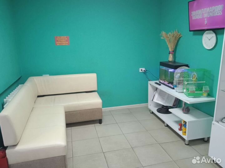 Ветеринарный врач выезд на дом