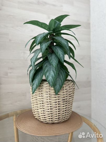 Кашпо для цветов