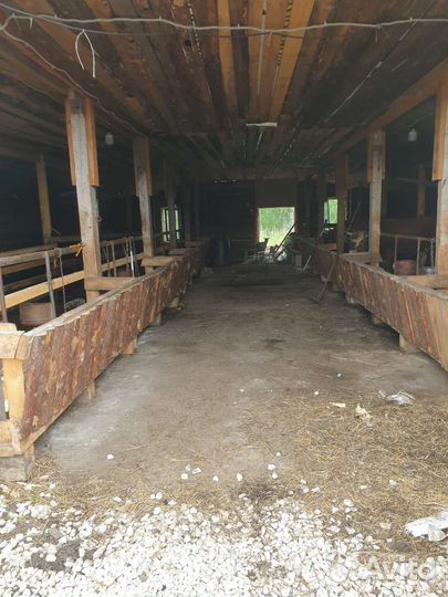 Гатовий бизнес фермер