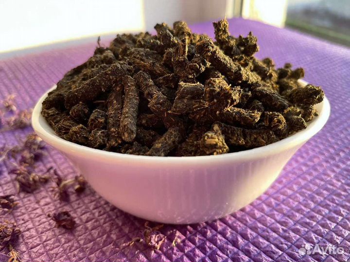 Иван-чай кипрей, сезона 2023, кипрей узколистный