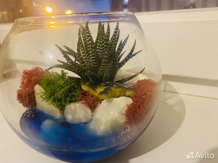 Флорариумы под заказ