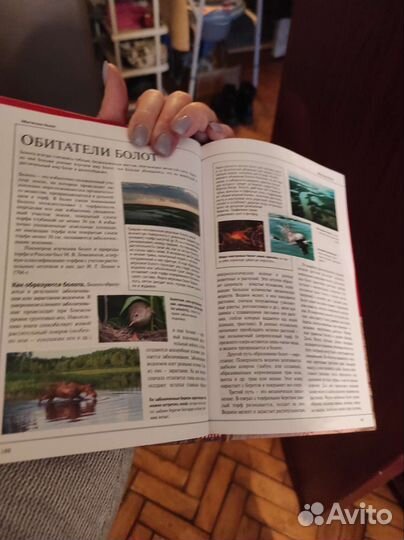 Энциклопедия коллекция