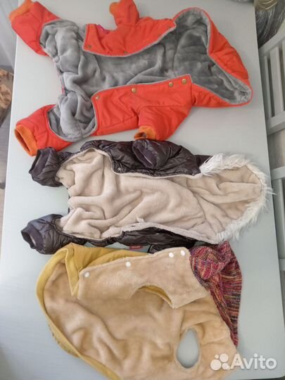 Одежда для собак