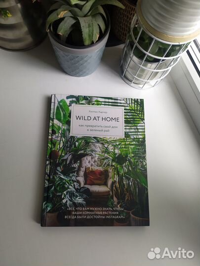 Wild AT home Хилтон Картер