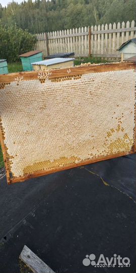 Мёд в сотах