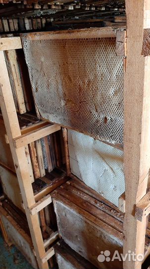 Улей и сушь для пчел