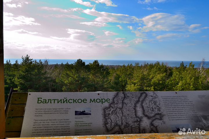 Экскурсия на Куршскую косу. Всё включено