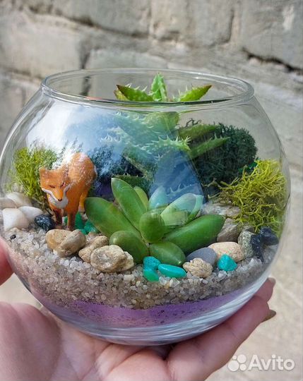 Флорариум с лисичкой