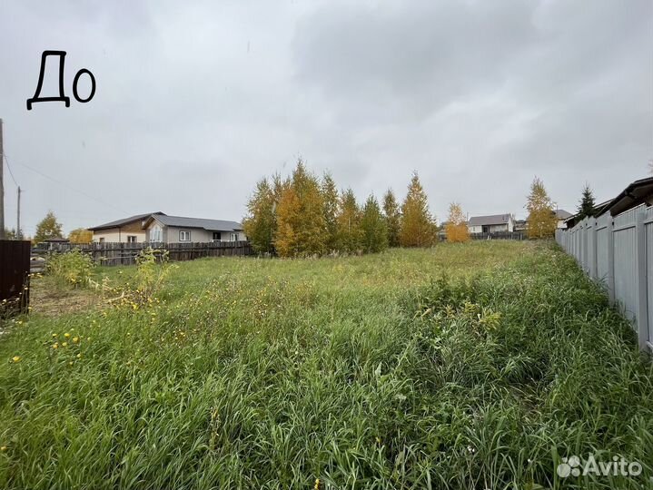 Покос, скос травы