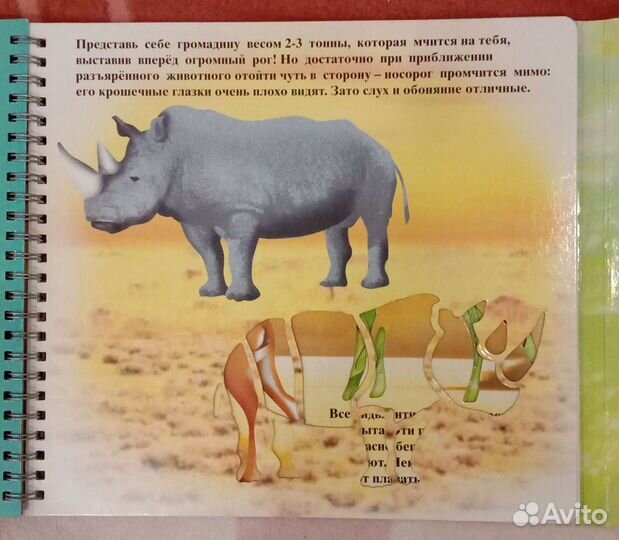 Рисование, раскраска по трафаретам