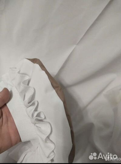 Шляпа гриба