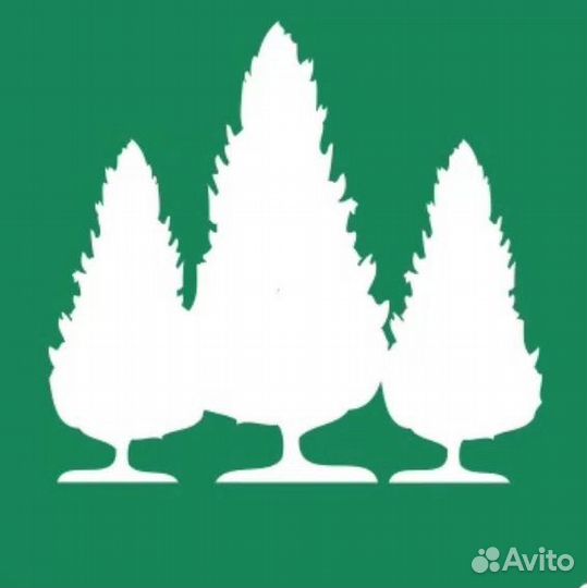 Водитель категории 