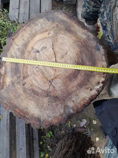 Колода дубовая,для рубки мяса