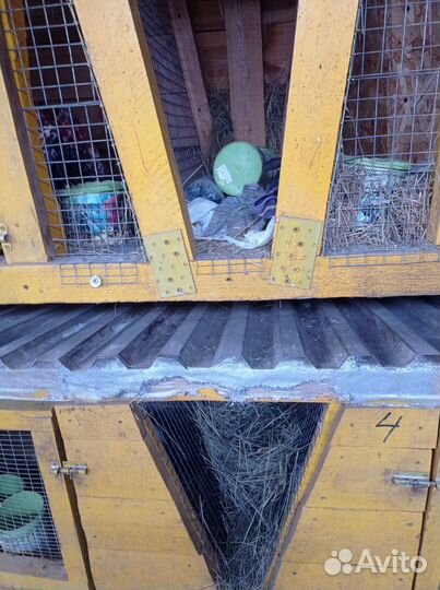 Клетка для кроликов