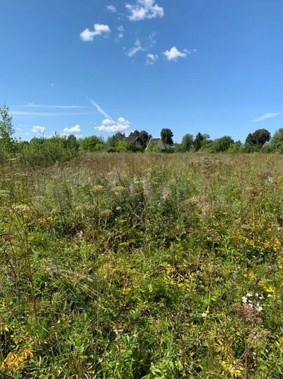 Участок 17 сот. (ИЖС)