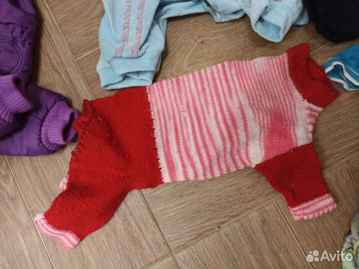 Лот одежды для маленькой собачки