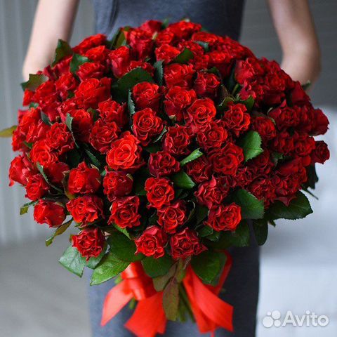 51 роза 101 роза