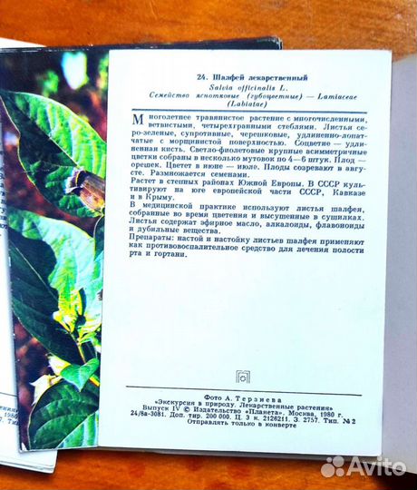 Набор 25 цветных открыток Экскурсия в природу 80гг