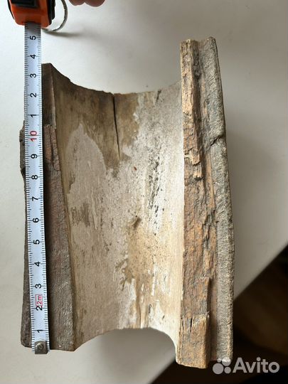 Бивень мамонта щепа