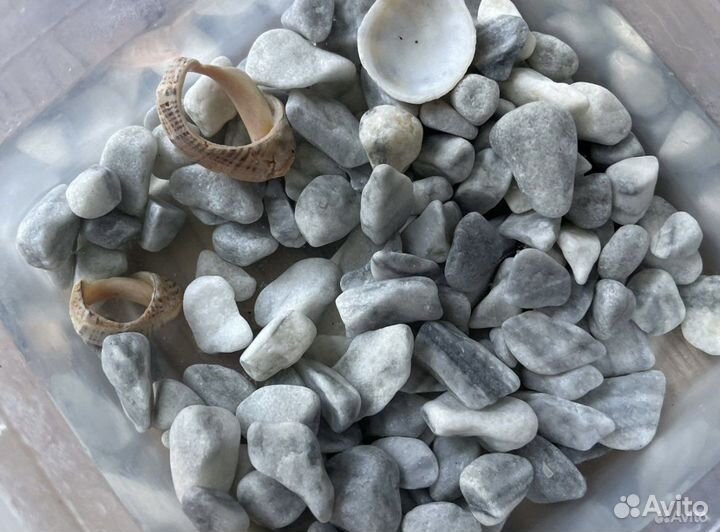 Аквариум с наполнением