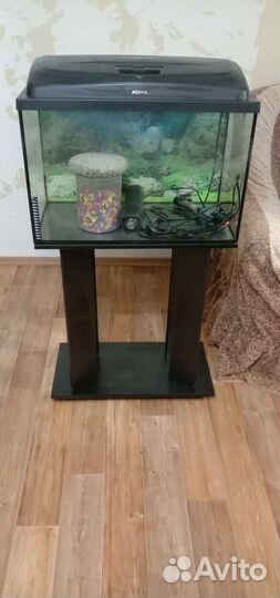 Аквариум