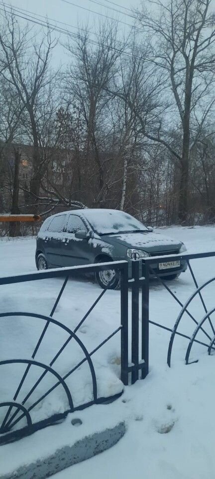 ВАЗ (LADA) Kalina: фото владельца