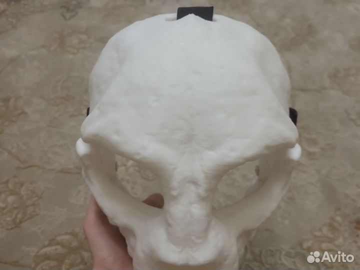 Маска скалл кэта