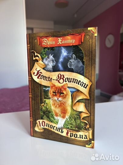 Серия книг 