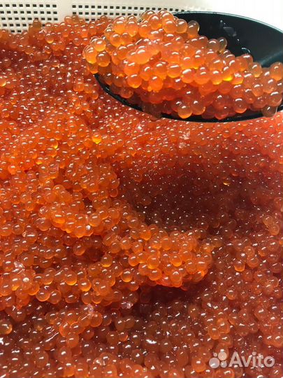 Икра красная