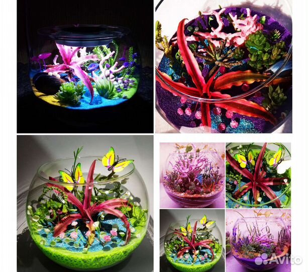 Аквариум с воздухом вместо воды