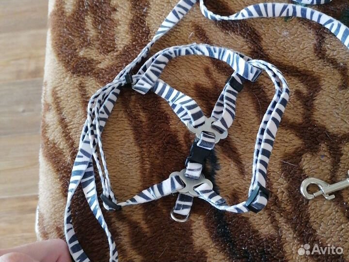 Кошачий поводок