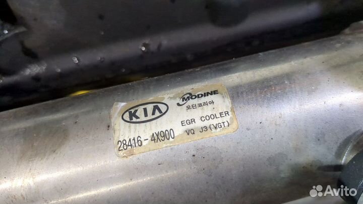 Двигатель киа Carnival, 2008