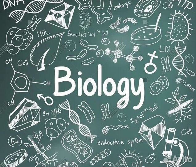 Репетитор по биологии