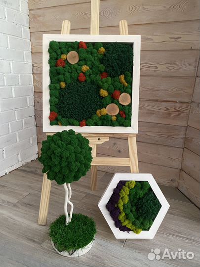 Панно из стабилизированного мха