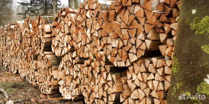 Дрова для бани
