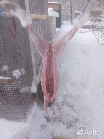 Продукты питания