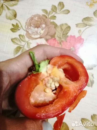 Семена Перец Леся и др сорта