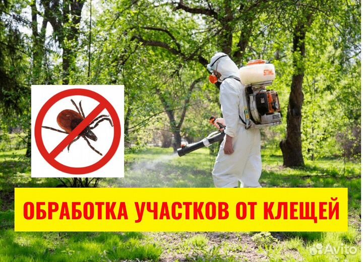 Уничтожение клопов, Травля тараканов, Дезинфекция