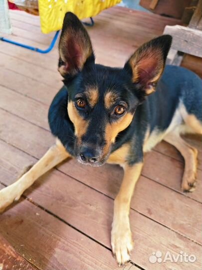 Аля, Алечка