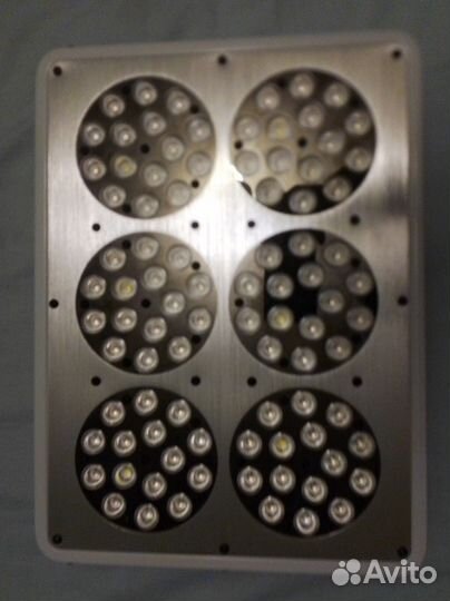 Фитолампа, фитосветильник для растений