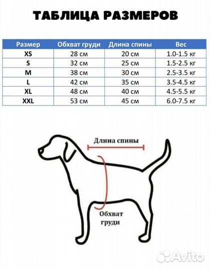 Костюм для собаки