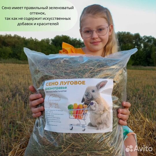 Сено луговое отборное для грызунов, кроликов и тд