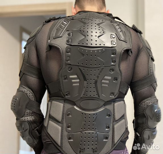 Мотокурта (черепаха)