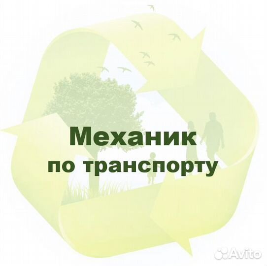 Механик по транспорту