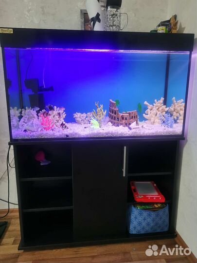 Аквариум