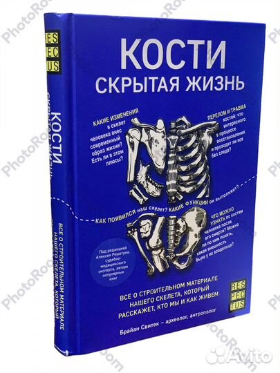 Брайан Свитек 